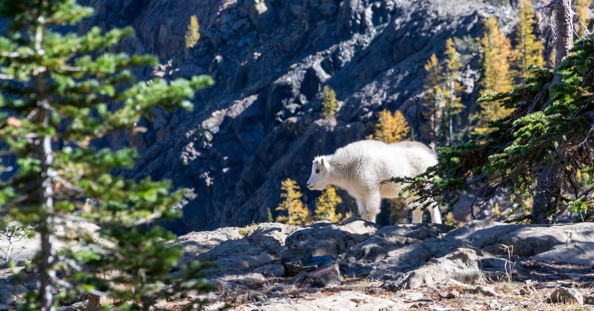 Top 10 free online games you can play right now